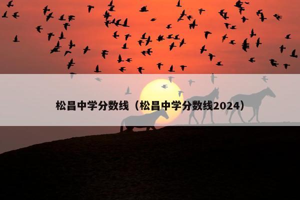 松昌中学分数线（松昌中学分数线2024）