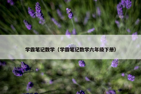 学霸笔记数学（学霸笔记数学六年级下册）