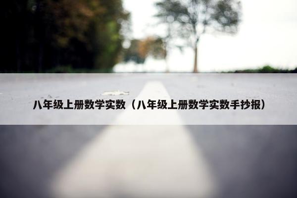 八年级上册数学实数（八年级上册数学实数手抄报）