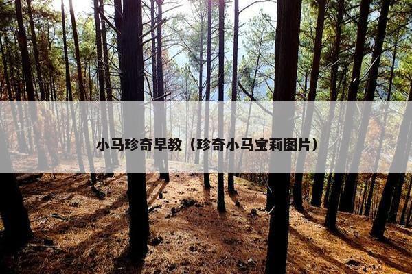 小马珍奇早教（珍奇小马宝莉图片）