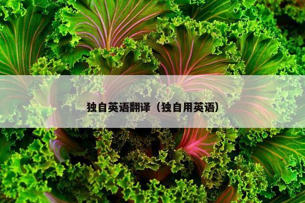 独自英语翻译（独自用英语）