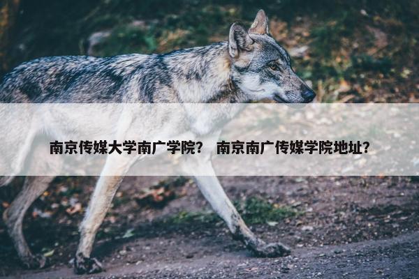 南京传媒大学南广学院？ 南京南广传媒学院地址？