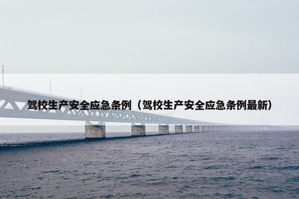 驾校生产安全应急条例（驾校生产安全应急条例最新）