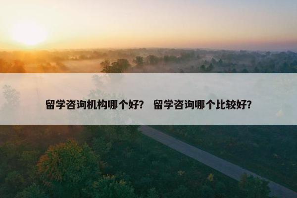 留学咨询机构哪个好？ 留学咨询哪个比较好？