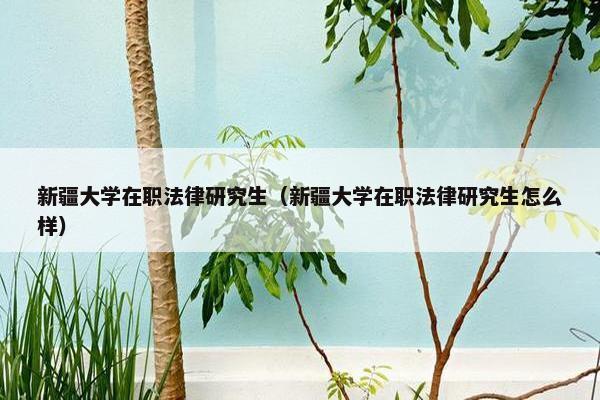 新疆大学在职法律研究生（新疆大学在职法律研究生怎么样）