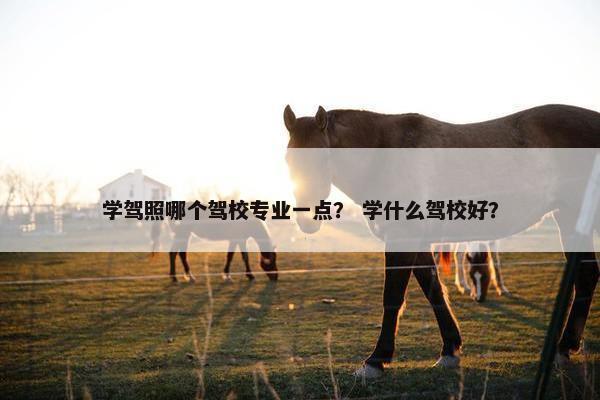 学驾照哪个驾校专业一点？ 学什么驾校好？