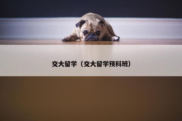 交大留学（交大留学预科班）
