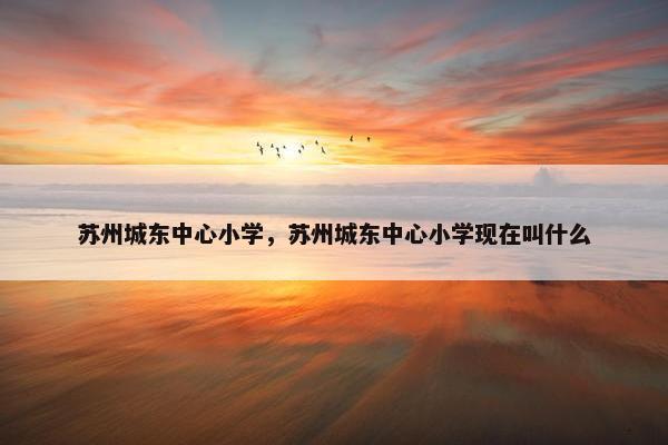苏州城东中心小学，苏州城东中心小学现在叫什么