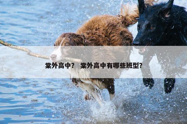 棠外高中？ 棠外高中有哪些班型？
