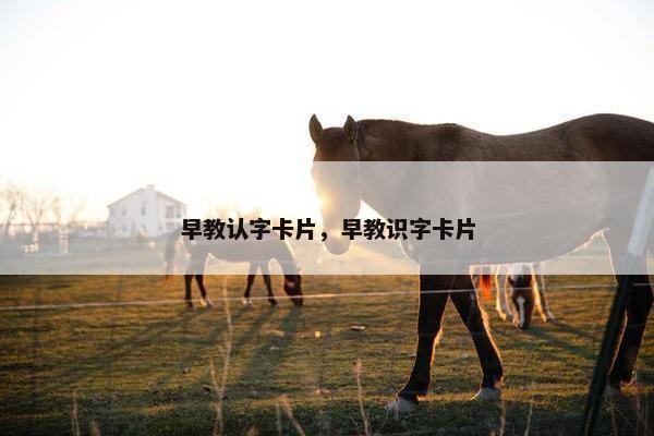 早教认字卡片，早教识字卡片