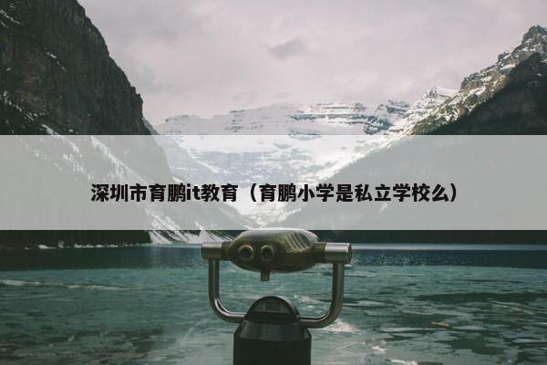 深圳市育鹏it教育（育鹏小学是私立学校么）