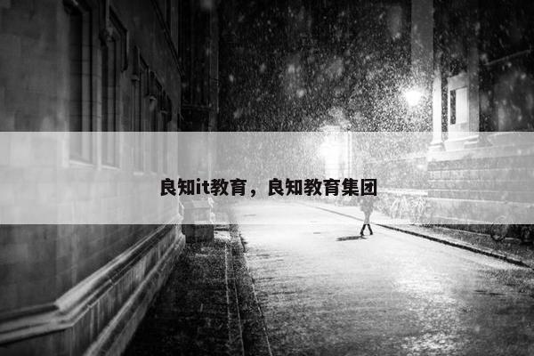 良知it教育，良知教育集团
