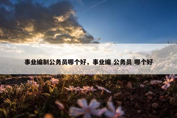 事业编制公务员哪个好，事业编 公务员 哪个好