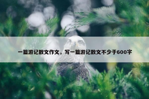 一篇游记散文作文，写一篇游记散文不少于600字