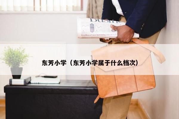 东芳小学（东芳小学属于什么档次）