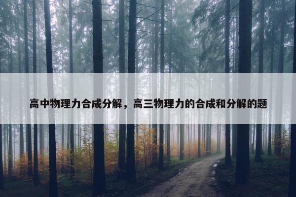 高中物理力合成分解，高三物理力的合成和分解的题