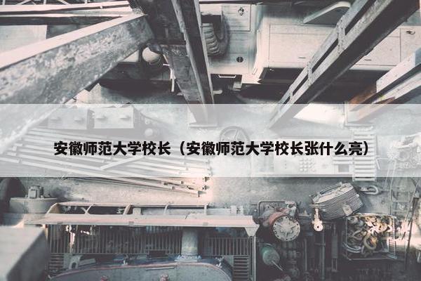 安徽师范大学校长（安徽师范大学校长张什么亮）