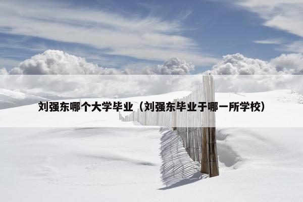 刘强东哪个大学毕业（刘强东毕业于哪一所学校）
