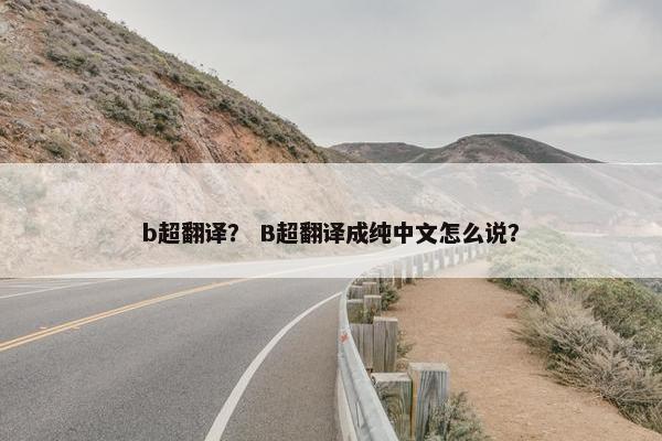 b超翻译？ B超翻译成纯中文怎么说？