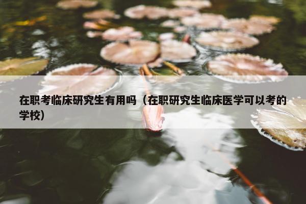 在职考临床研究生有用吗（在职研究生临床医学可以考的学校）