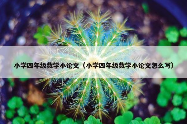 小学四年级数学小论文（小学四年级数学小论文怎么写）