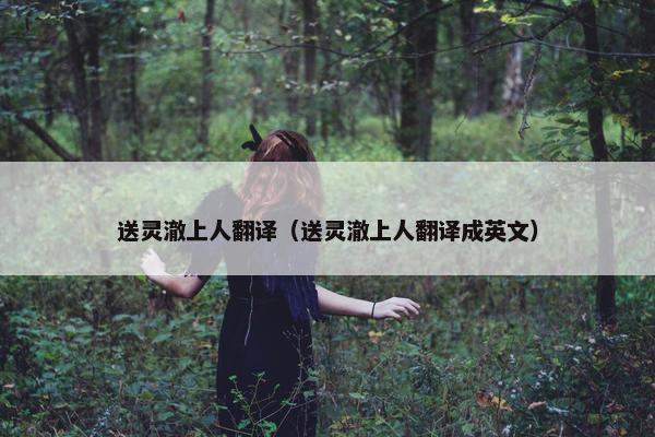 送灵澈上人翻译（送灵澈上人翻译成英文）