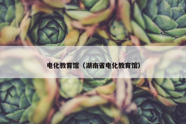 电化教育馆（湖南省电化教育馆）