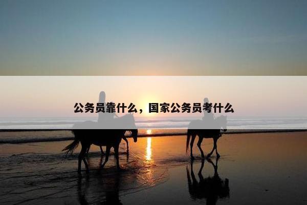 公务员靠什么，国家公务员考什么