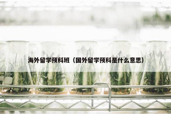 海外留学预科班（国外留学预科是什么意思）