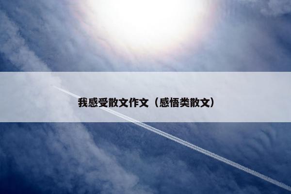 我感受散文作文（感悟类散文）
