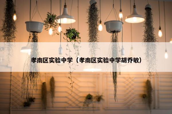 孝南区实验中学（孝南区实验中学胡乔敏）