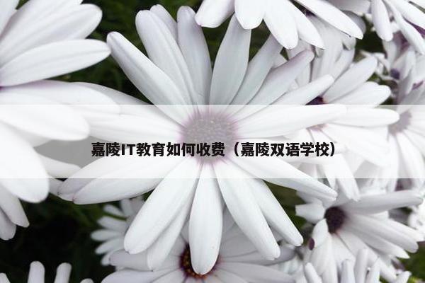 嘉陵IT教育如何收费（嘉陵双语学校）