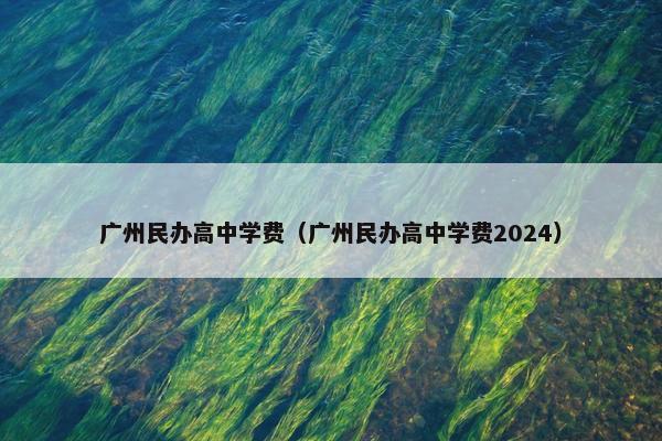广州民办高中学费（广州民办高中学费2024）