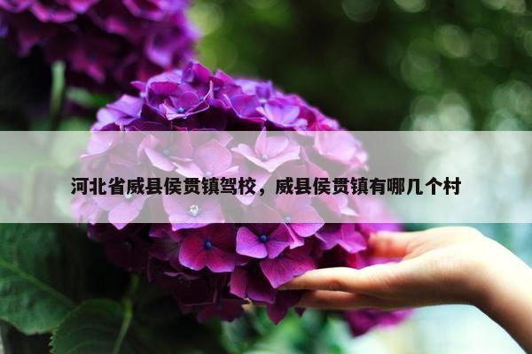 河北省威县侯贯镇驾校，威县侯贯镇有哪几个村