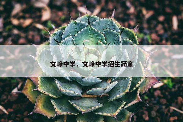 文峰中学，文峰中学招生简章