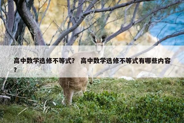 高中数学选修不等式？ 高中数学选修不等式有哪些内容？