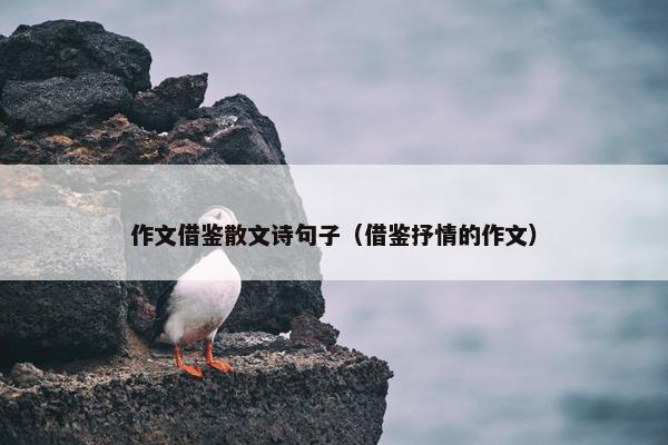 作文借鉴散文诗句子（借鉴抒情的作文）