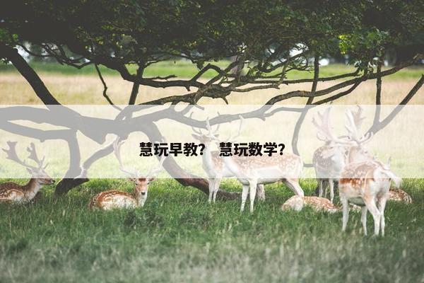 慧玩早教？ 慧玩数学？