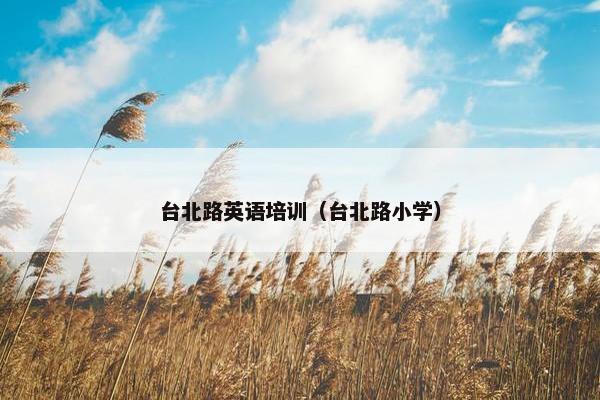 台北路英语培训（台北路小学）
