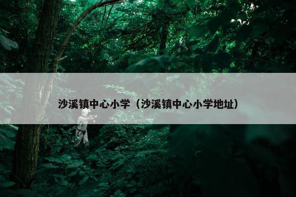 沙溪镇中心小学（沙溪镇中心小学地址）