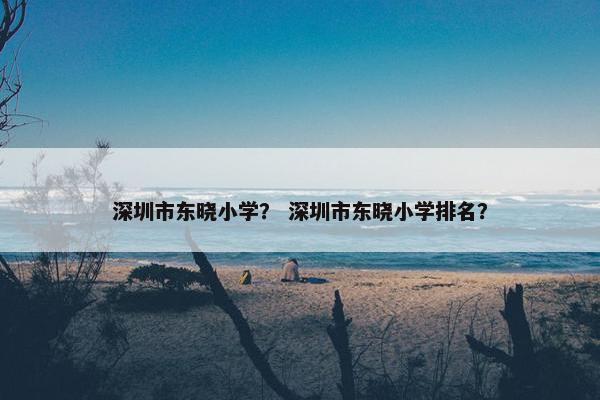 深圳市东晓小学？ 深圳市东晓小学排名？