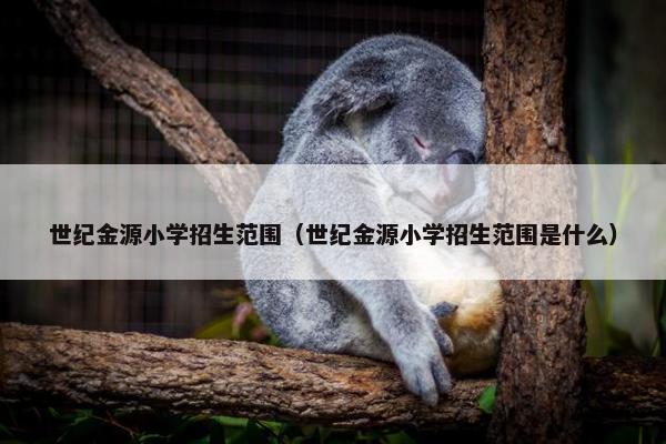 世纪金源小学招生范围（世纪金源小学招生范围是什么）