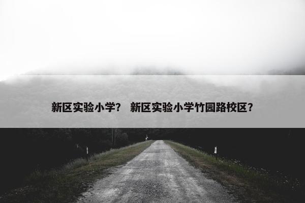 新区实验小学？ 新区实验小学竹园路校区？