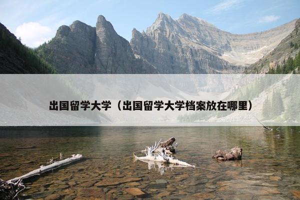 出国留学大学（出国留学大学档案放在哪里）