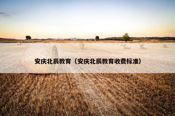 安庆北辰教育（安庆北辰教育收费标准）