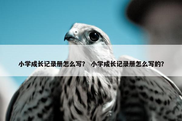 小学成长记录册怎么写？ 小学成长记录册怎么写的？