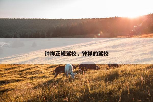 钟祥正规驾校，钟祥的驾校