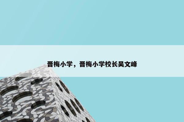 晋梅小学，晋梅小学校长吴文峰