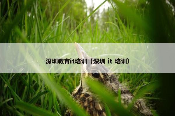 深圳教育it培训（深圳 it 培训）