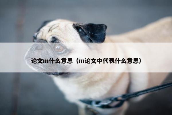 论文m什么意思（m论文中代表什么意思）
